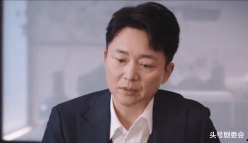 图片区视频区国产区综合,图片、视频、综合区域精彩纷呈