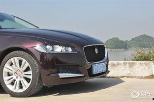 国产捷豹视频大全