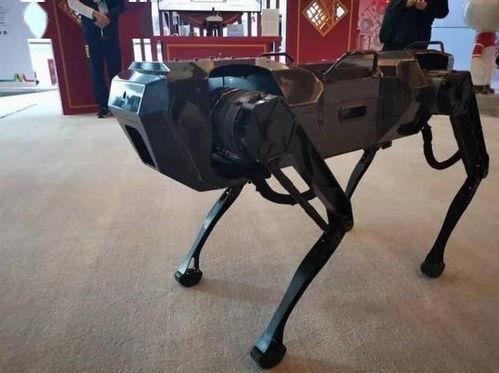 国产机械狗亮相冬奥视频