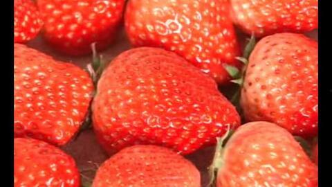 国产草莓视频无码s在线观看,探寻自然之美，感受田园风情