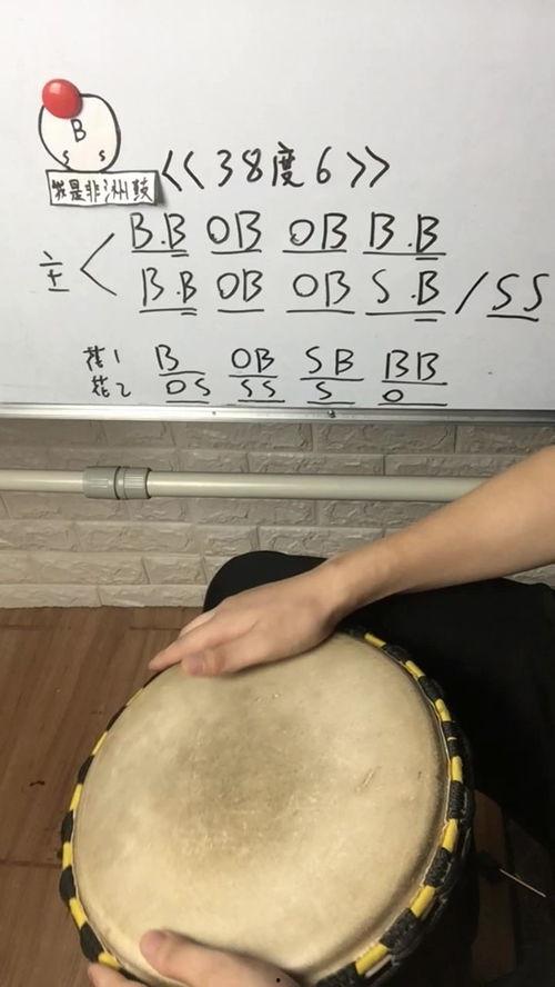 国产教兽视频,揭秘动物训练背后的智慧与温情